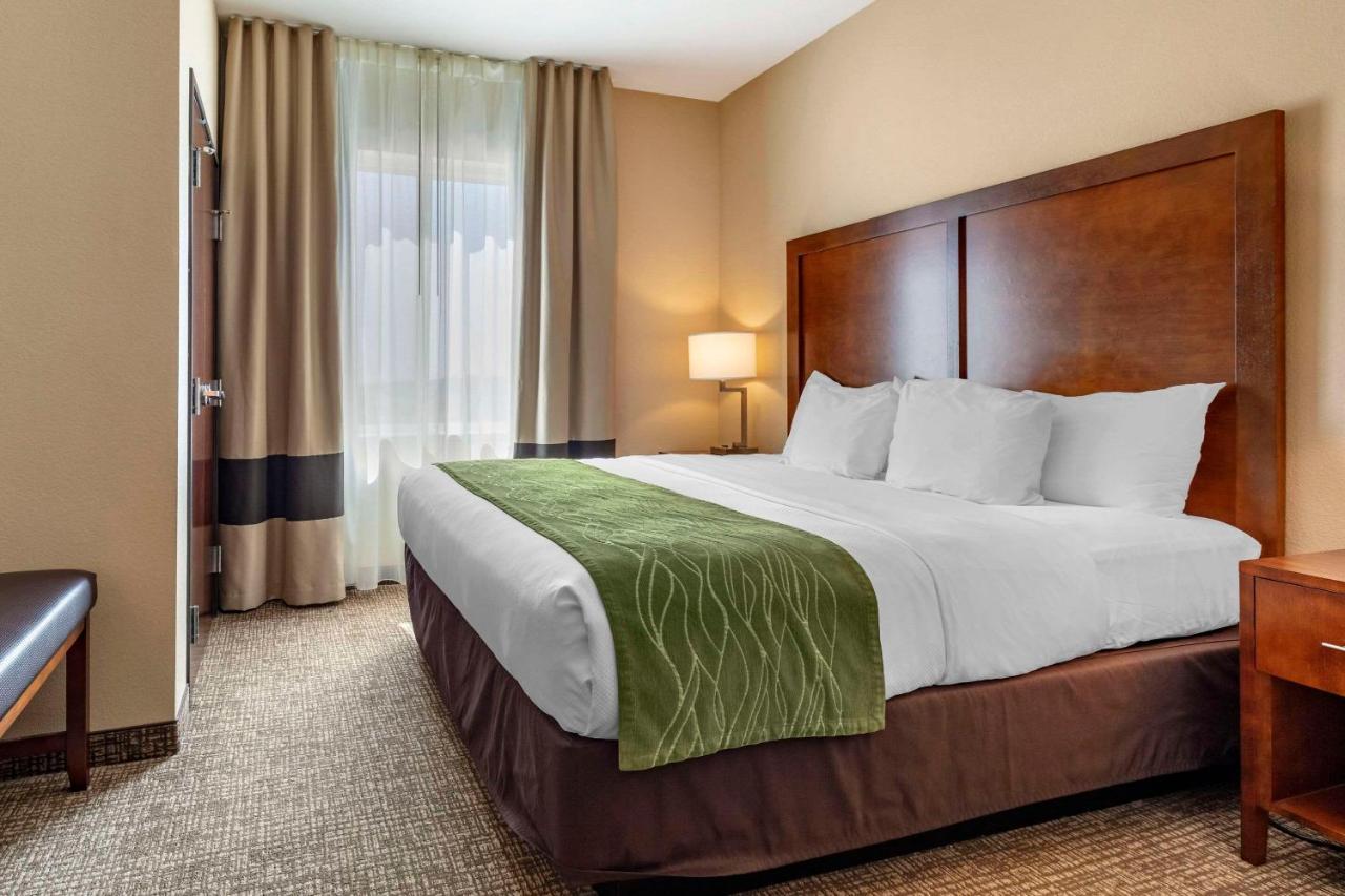 Comfort Inn & Suites Edgewood Экстерьер фото