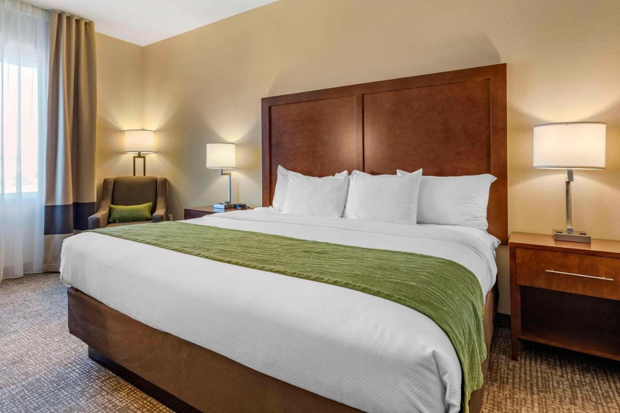 Comfort Inn & Suites Edgewood Экстерьер фото