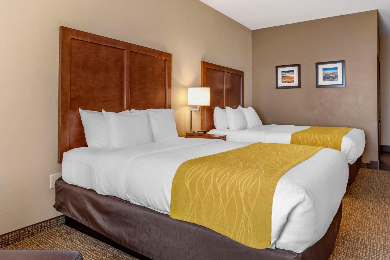 Comfort Inn & Suites Edgewood Экстерьер фото