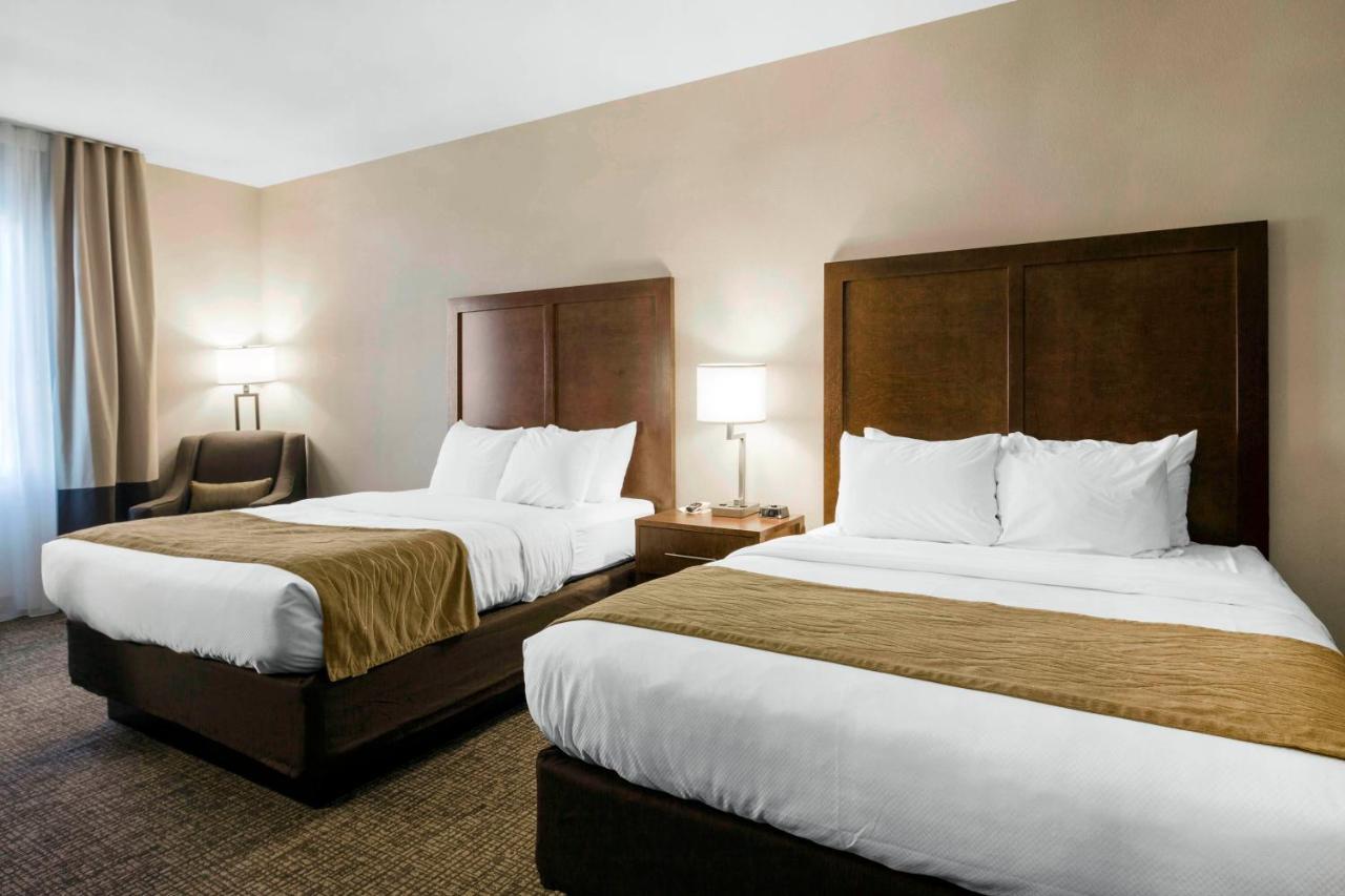 Comfort Inn & Suites Edgewood Экстерьер фото